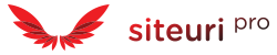Siteuri Profesionale